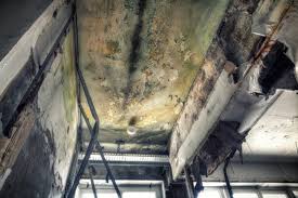 Mold Documentation for Insurance Claims in Salix, PA